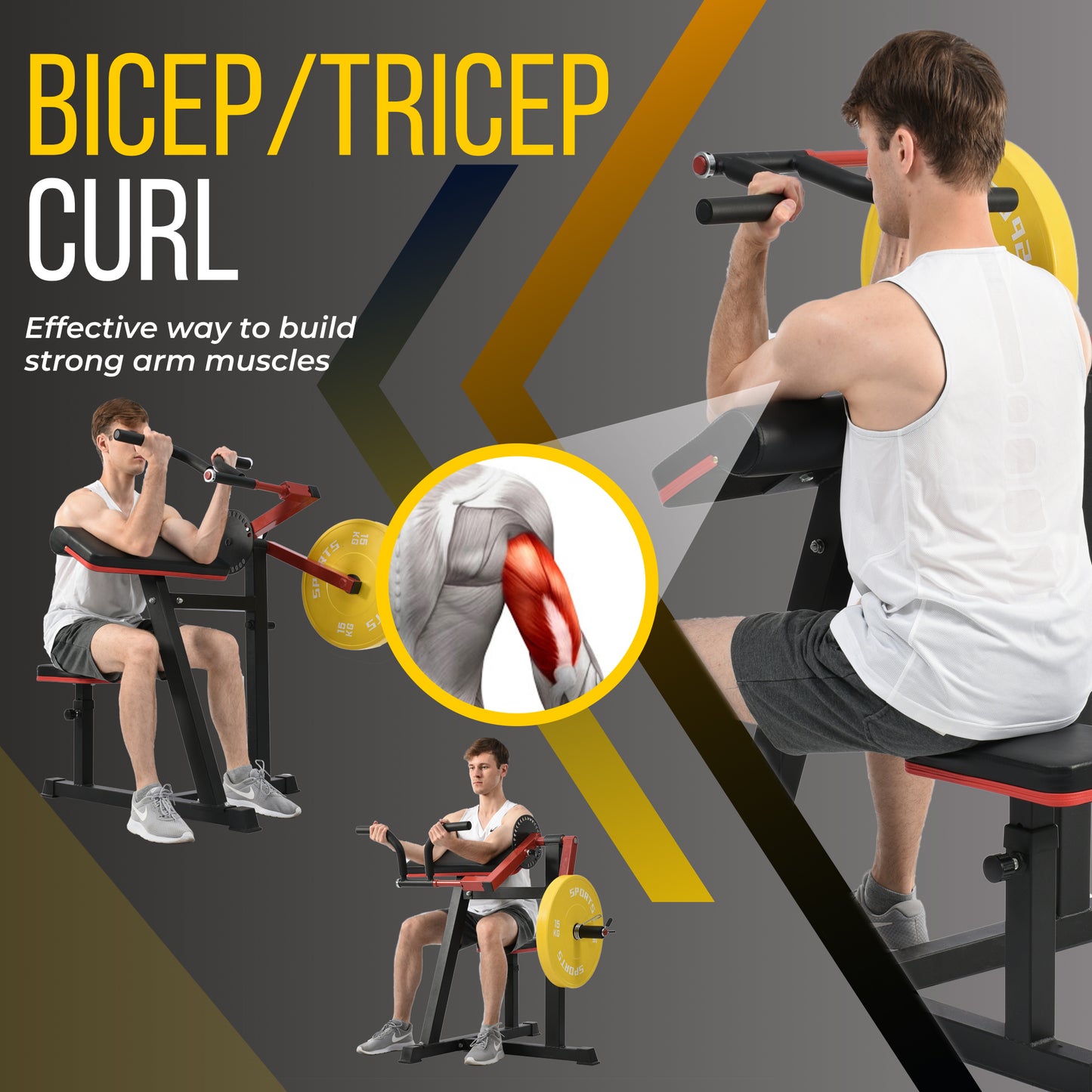 Bicep Tricep Curl Machine w/ Adjustable Seat